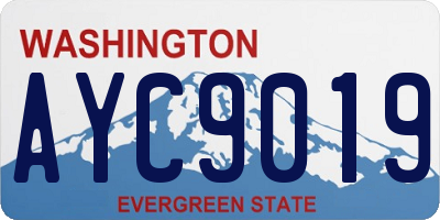 WA license plate AYC9019
