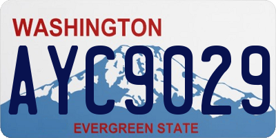 WA license plate AYC9029