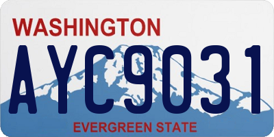 WA license plate AYC9031