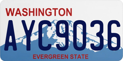 WA license plate AYC9036