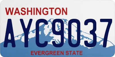 WA license plate AYC9037