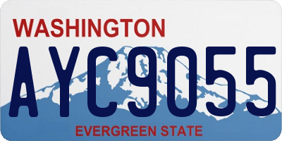 WA license plate AYC9055