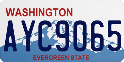 WA license plate AYC9065