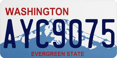 WA license plate AYC9075