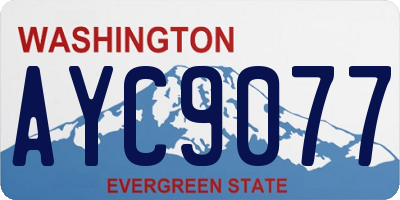 WA license plate AYC9077