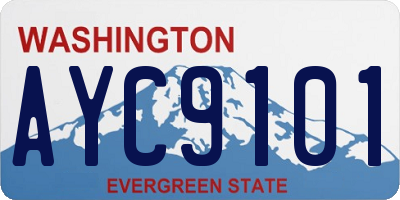 WA license plate AYC9101