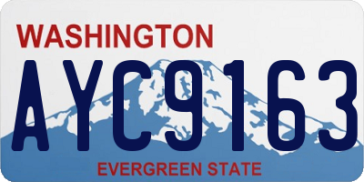 WA license plate AYC9163