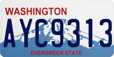 WA license plate AYC9313