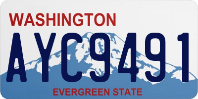 WA license plate AYC9491