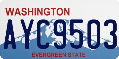 WA license plate AYC9503