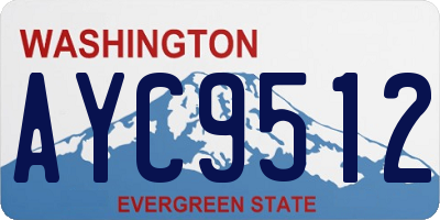 WA license plate AYC9512