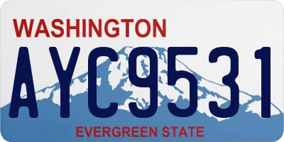 WA license plate AYC9531