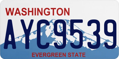 WA license plate AYC9539