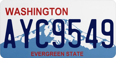 WA license plate AYC9549
