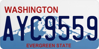 WA license plate AYC9559