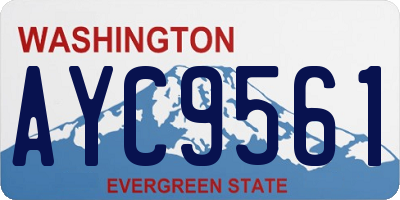 WA license plate AYC9561