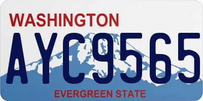 WA license plate AYC9565