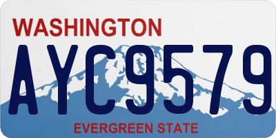 WA license plate AYC9579