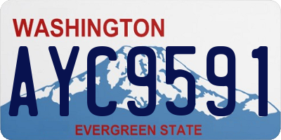WA license plate AYC9591
