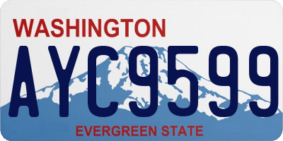WA license plate AYC9599