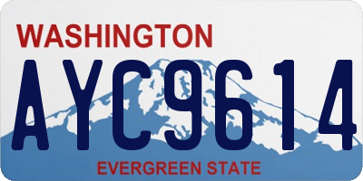 WA license plate AYC9614