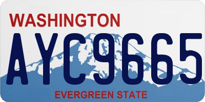 WA license plate AYC9665