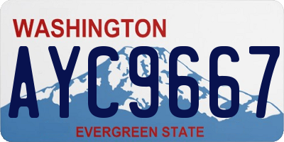 WA license plate AYC9667