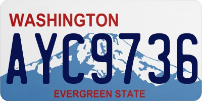 WA license plate AYC9736