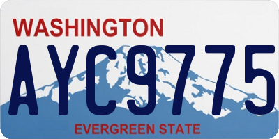 WA license plate AYC9775