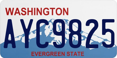 WA license plate AYC9825