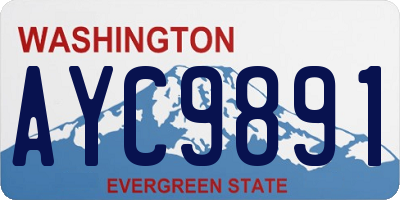 WA license plate AYC9891