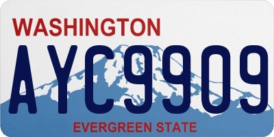WA license plate AYC9909