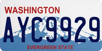 WA license plate AYC9929