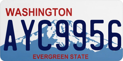 WA license plate AYC9956