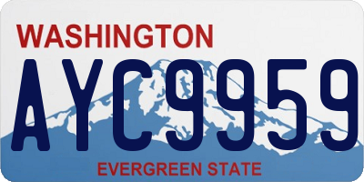 WA license plate AYC9959