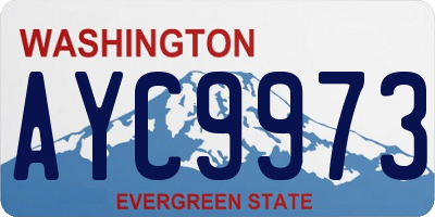 WA license plate AYC9973