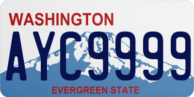 WA license plate AYC9999