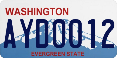 WA license plate AYD0012