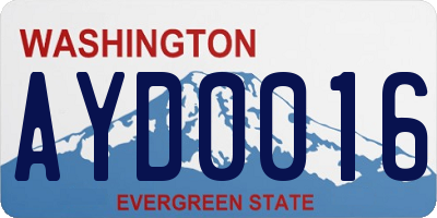 WA license plate AYD0016