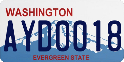 WA license plate AYD0018