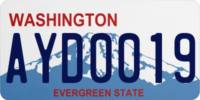 WA license plate AYD0019