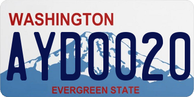 WA license plate AYD0020