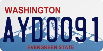 WA license plate AYD0091