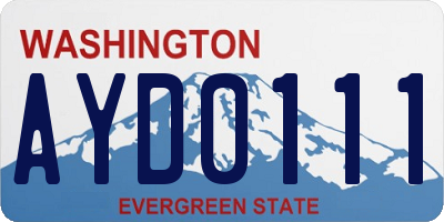 WA license plate AYD0111