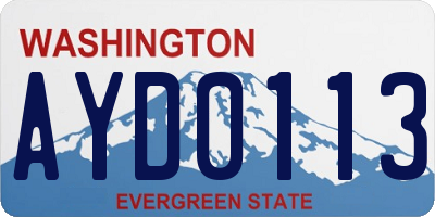 WA license plate AYD0113