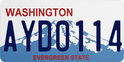 WA license plate AYD0114