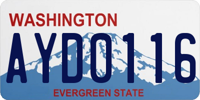 WA license plate AYD0116