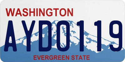 WA license plate AYD0119