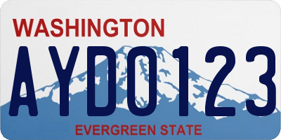 WA license plate AYD0123