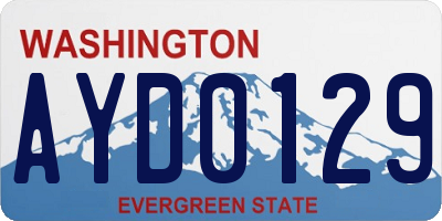 WA license plate AYD0129